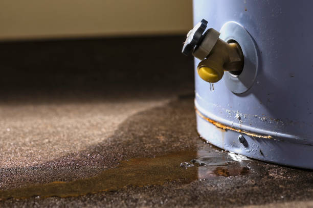 Best Water damage restoration experts  in Granite Falls, WA