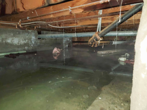 Best 24/7 water damage repair  in Granite Falls, WA