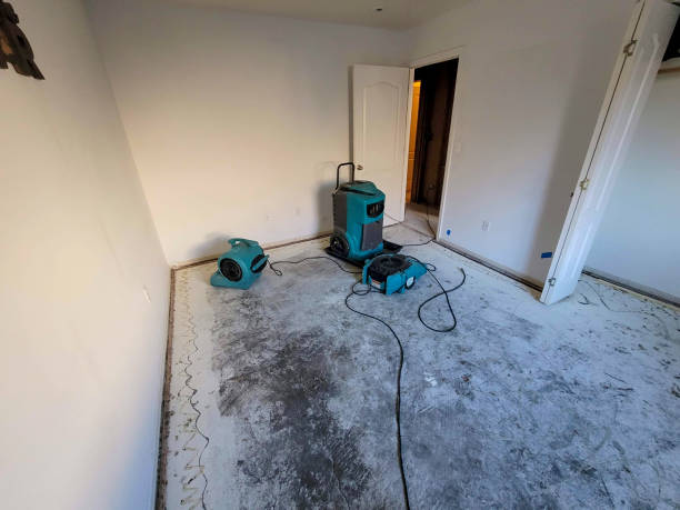 Best Professional water damage repair  in Granite Falls, WA