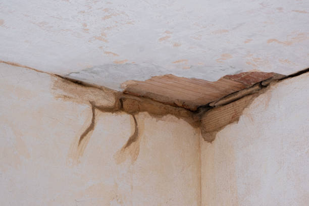 Best Basement water damage restoration  in Granite Falls, WA