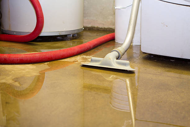 Best Water damage restoration near me  in Granite Falls, WA