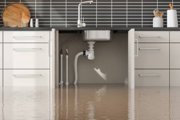 Best Ceiling water damage repair  in Granite Falls, WA