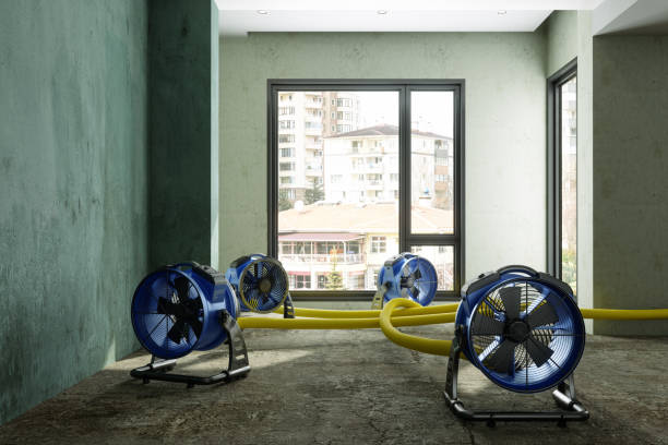 Best Fire Damage Restoration  in Granite Falls, WA